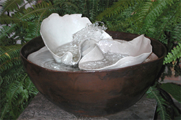 Shell Fountain